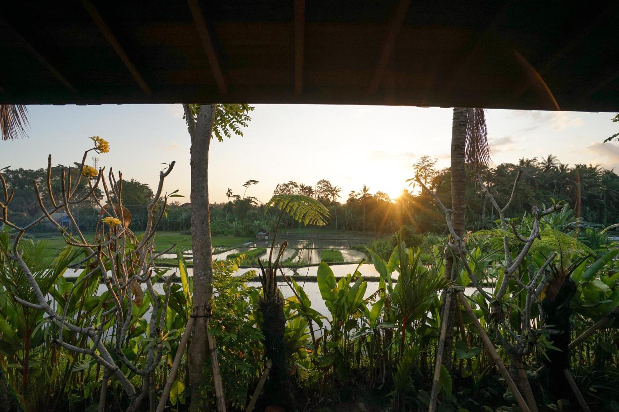 Art Vakantiepark Ubud