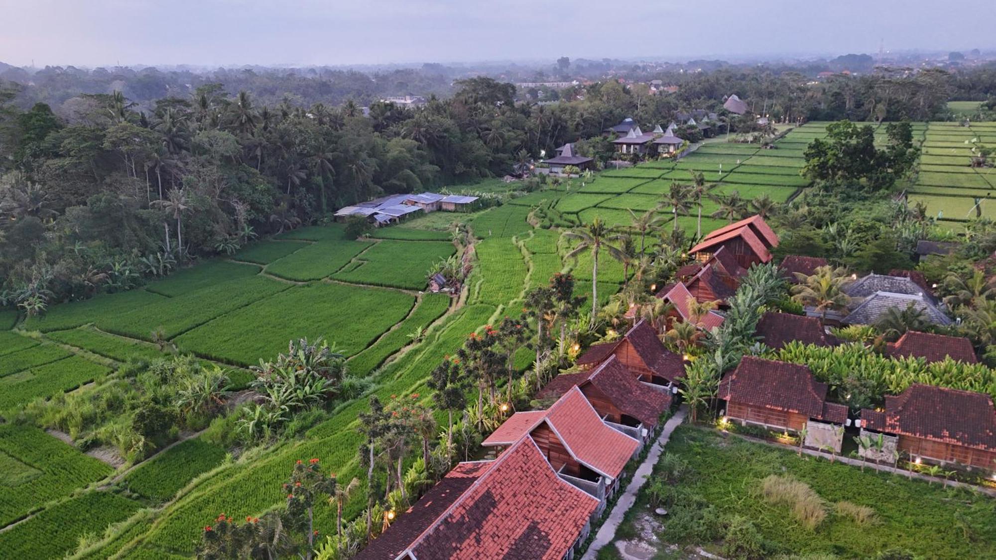 हॉलिडे पार्क Art Ubud (Bali)